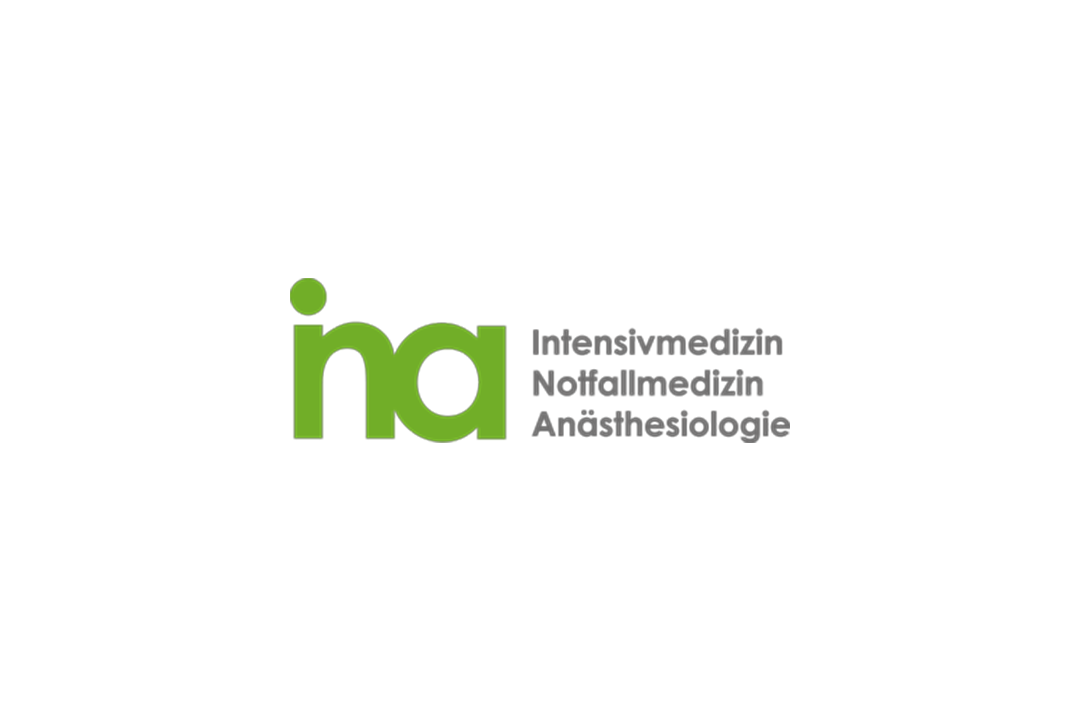 Logo INA